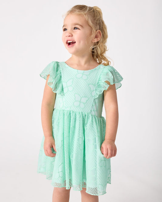 Butterfly Brook Smocked Flutter Dress
