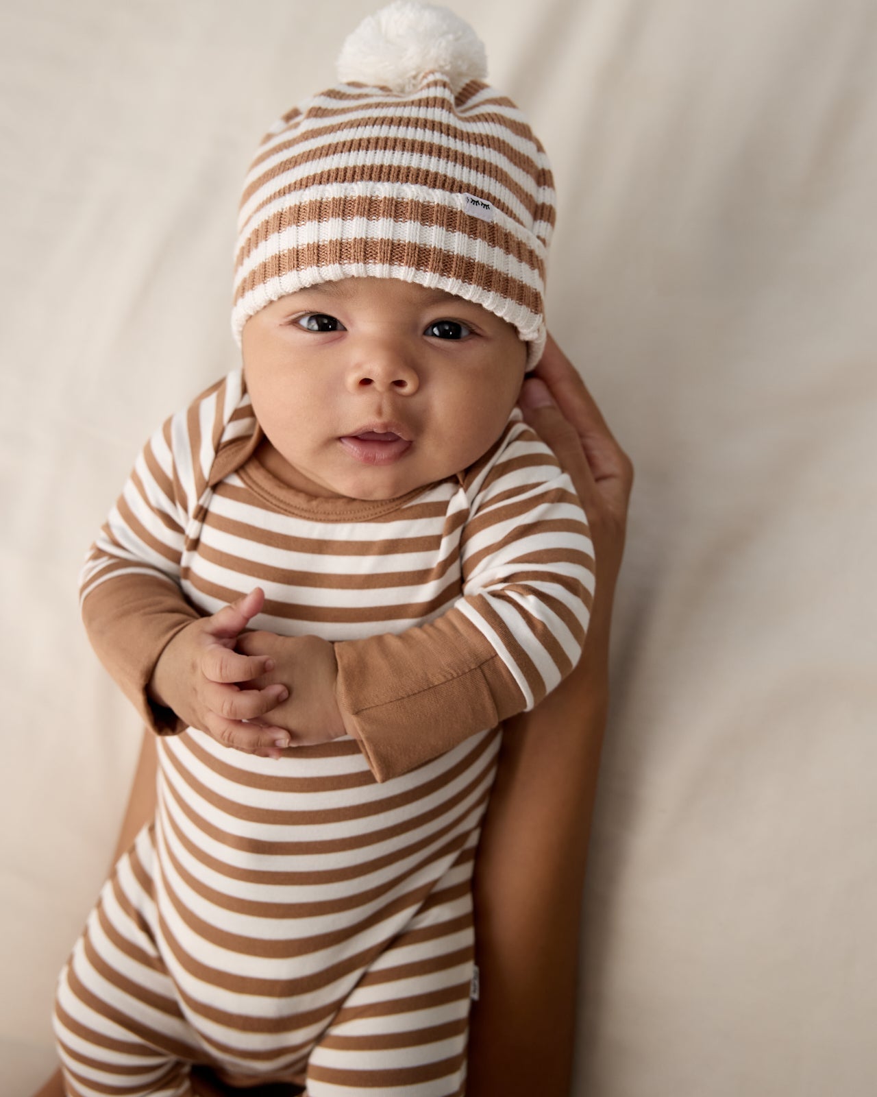 Chestnut Brown Stripe Crescent Zippy