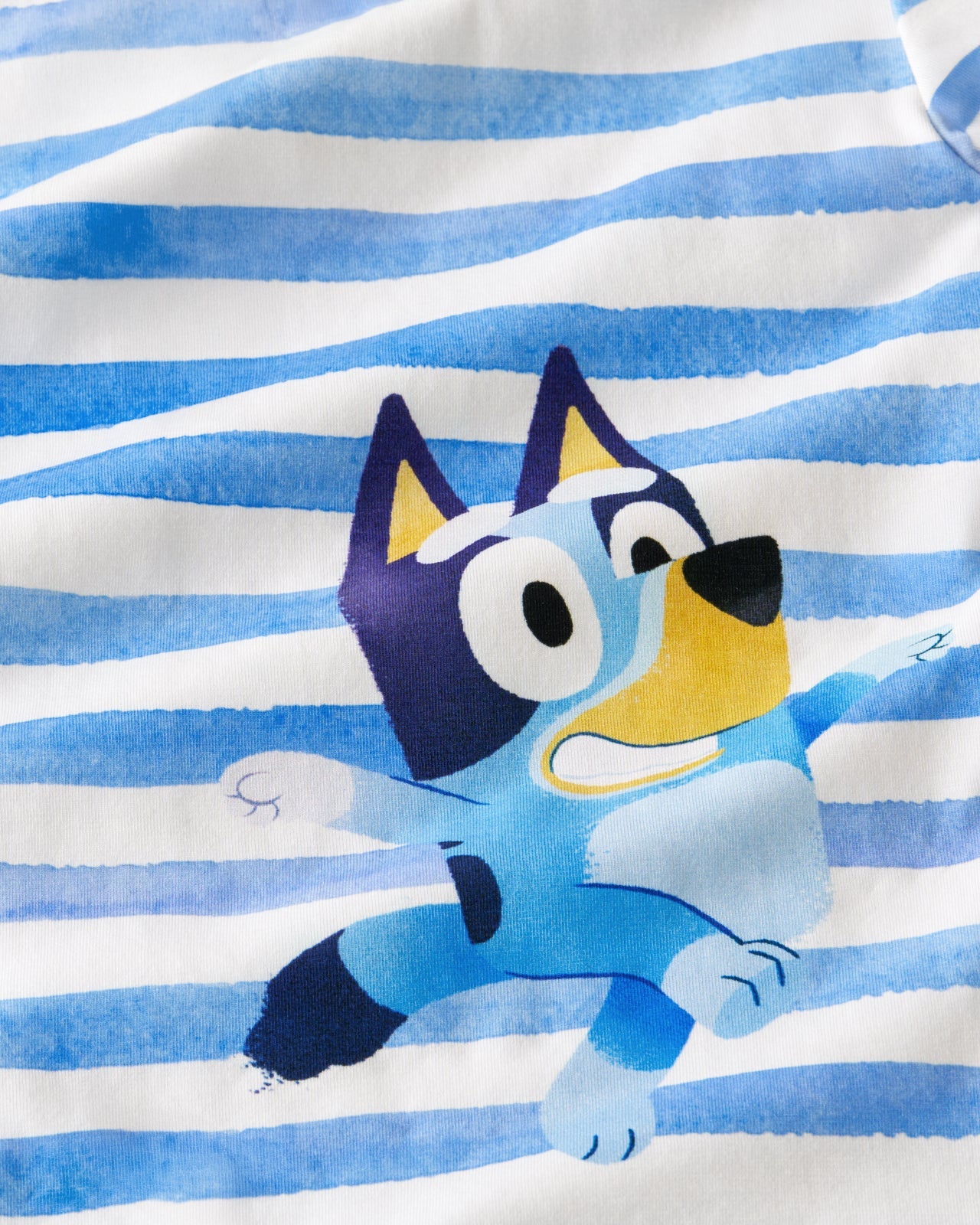 Bluey Relaxed Tee