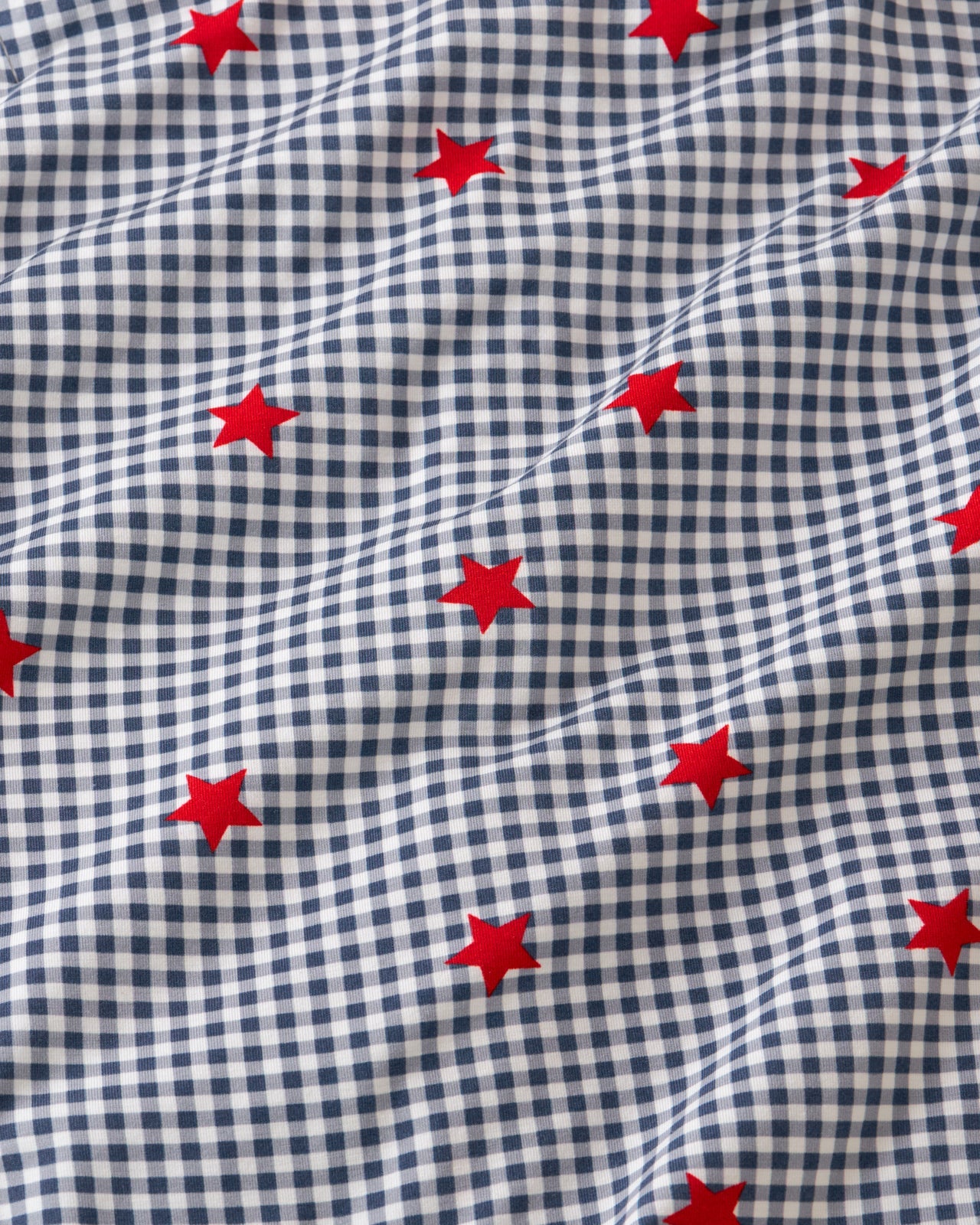Blue Ribbon Gingham Henley Romper