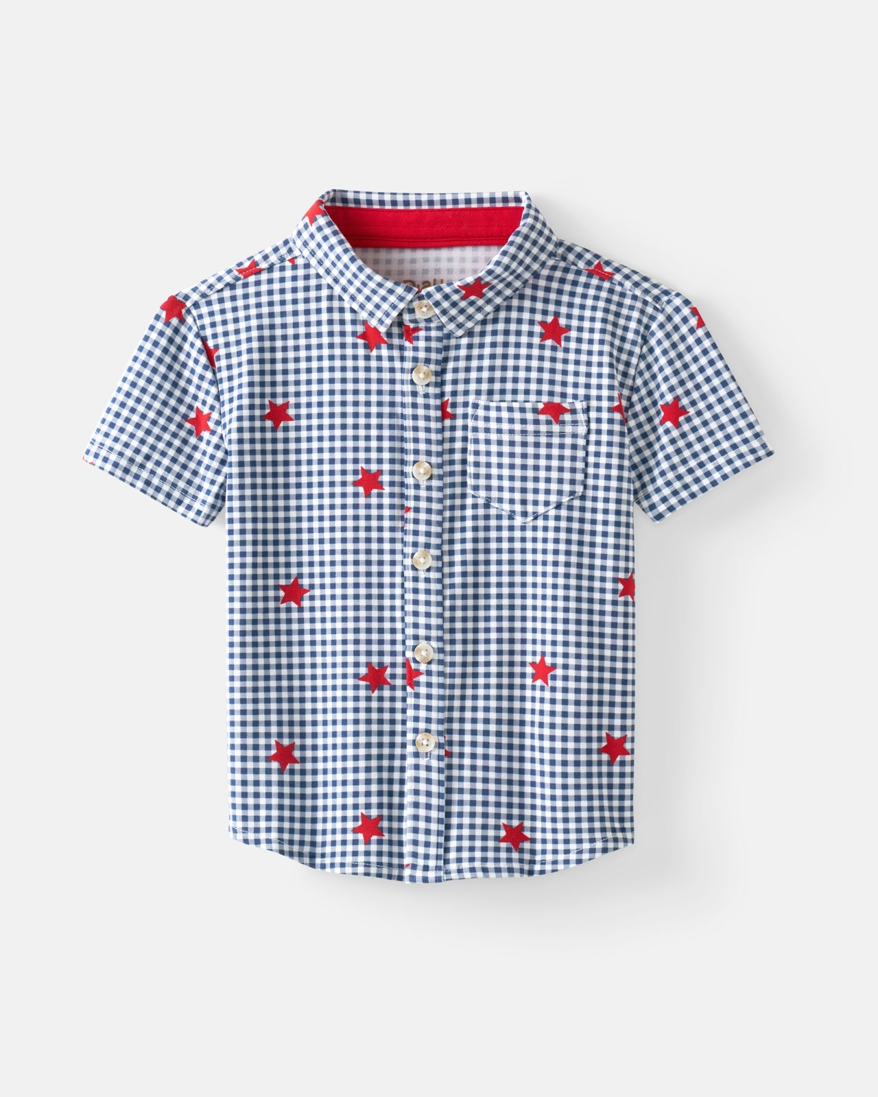 Blue Ribbon Gingham Button Down Shirt