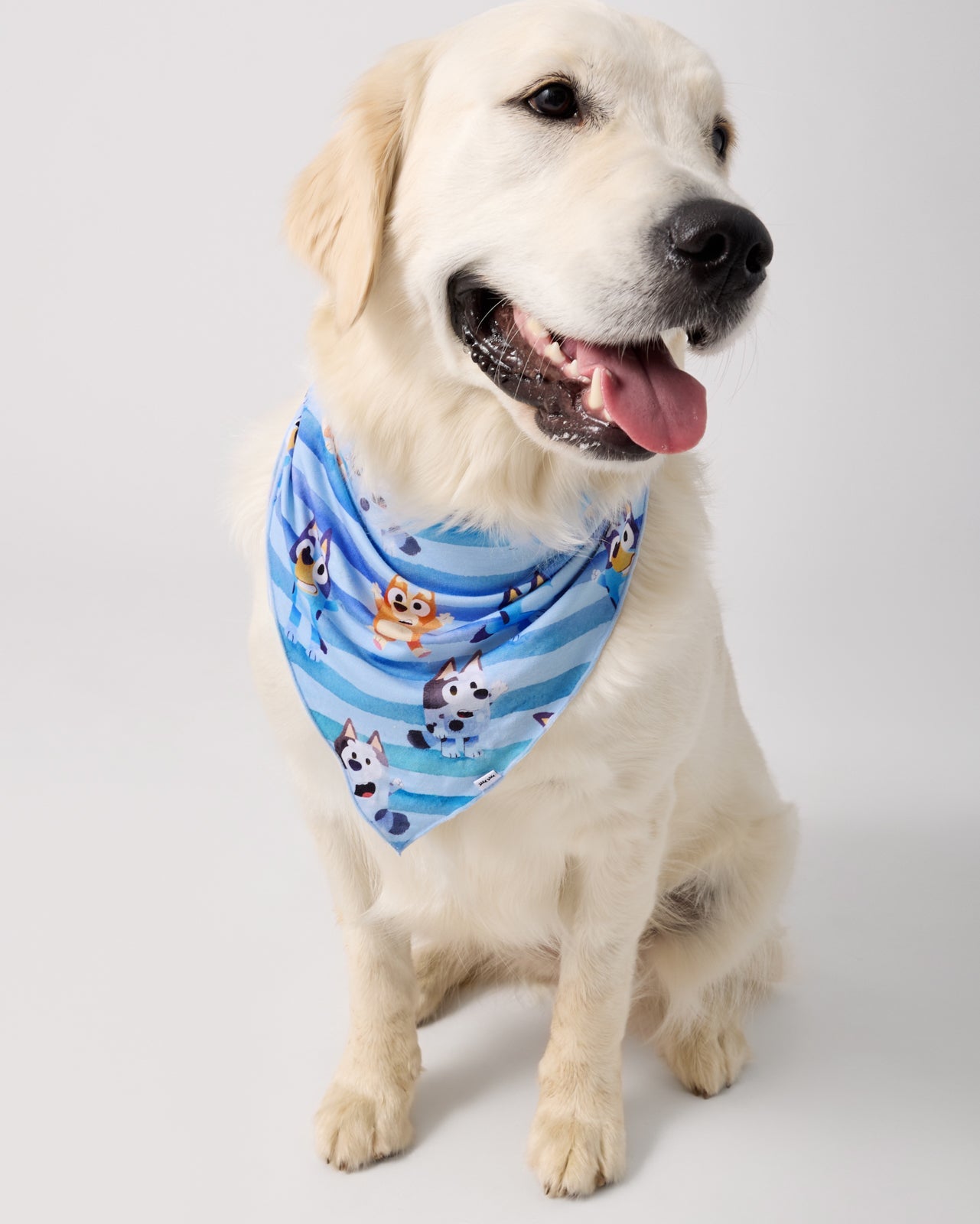 Bluey Dance All Day Pet Bandana