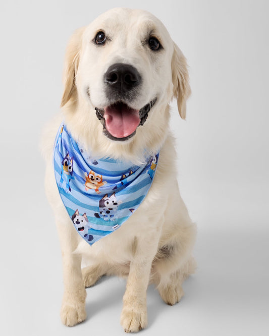 Bluey Dance All Day Pet Bandana