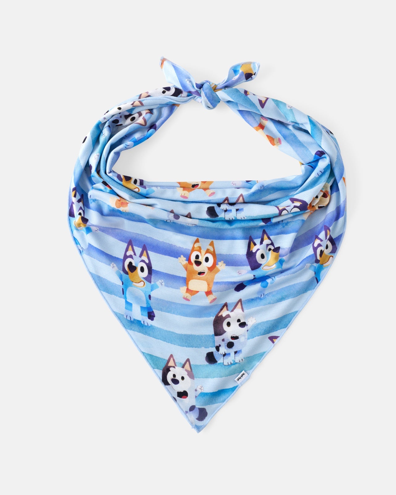 Bluey Dance All Day Pet Bandana