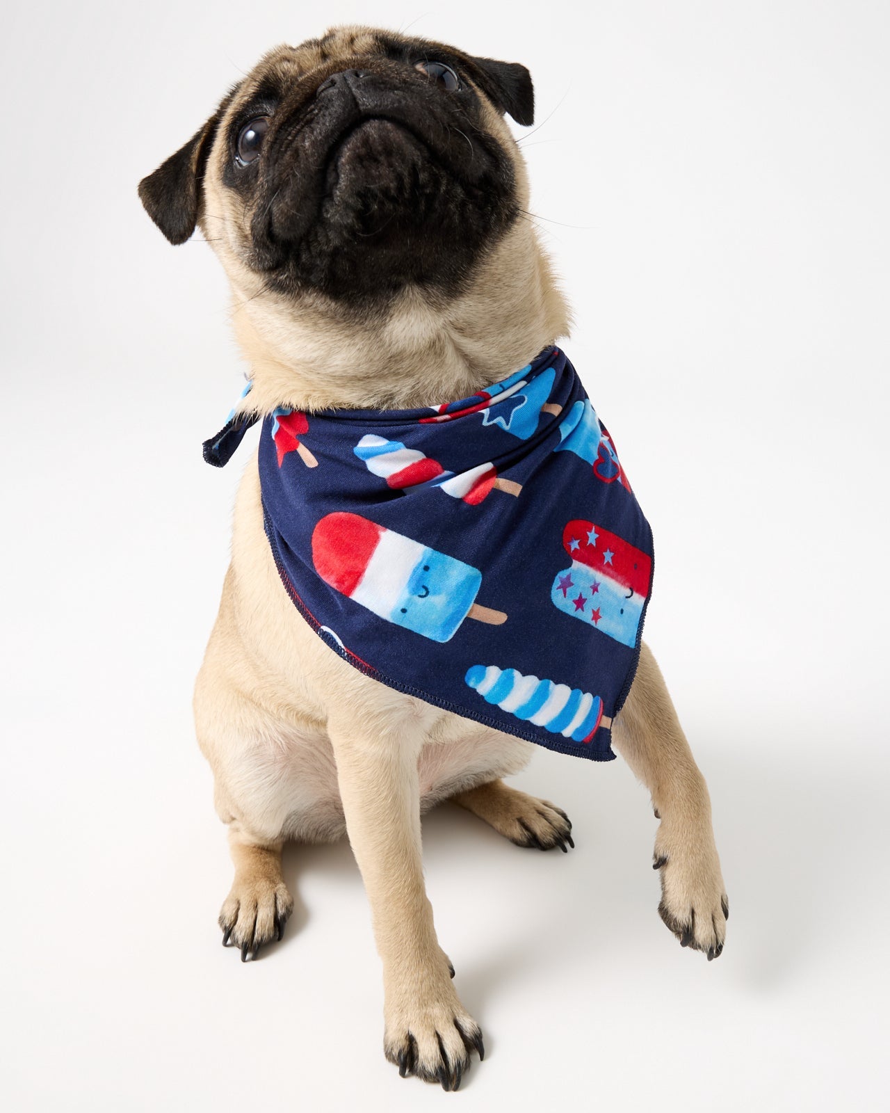 Sparkle Treats Pet Bandana