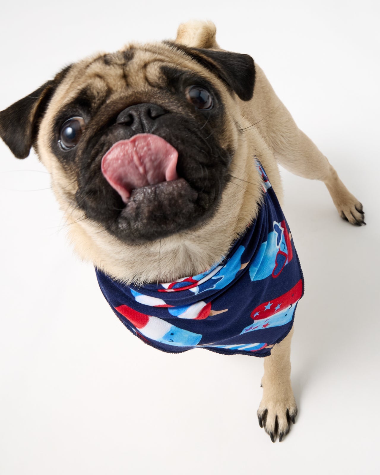 Sparkle Treats Pet Bandana