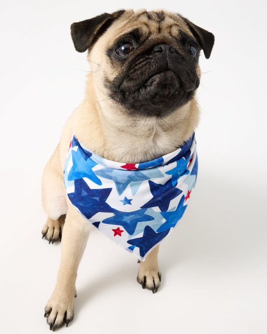 Starry Splash Pet Bandana