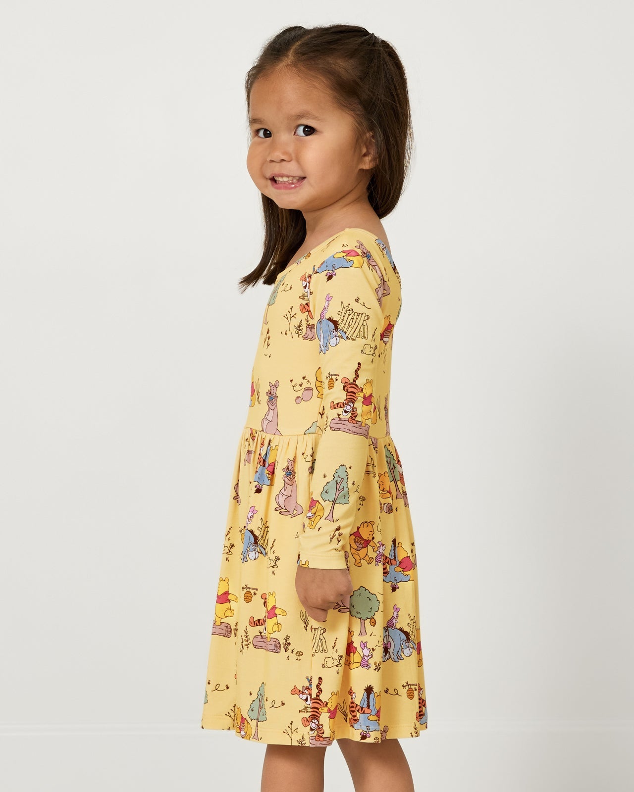 Disney Playtime With Pooh Skater Dress